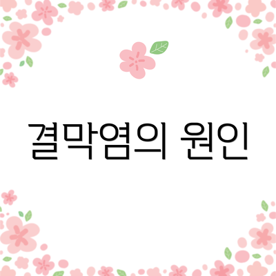 결막염의 원인