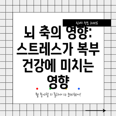 뇌 축의 영향: 스트레스가 복부 건강에 미치는 영향
