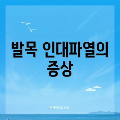 발목 인대파열의 증상