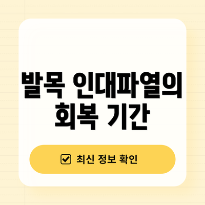 발목 인대파열의 회복 기간