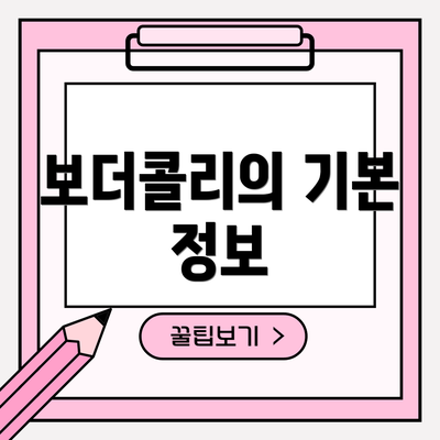 보더콜리의 기본 정보