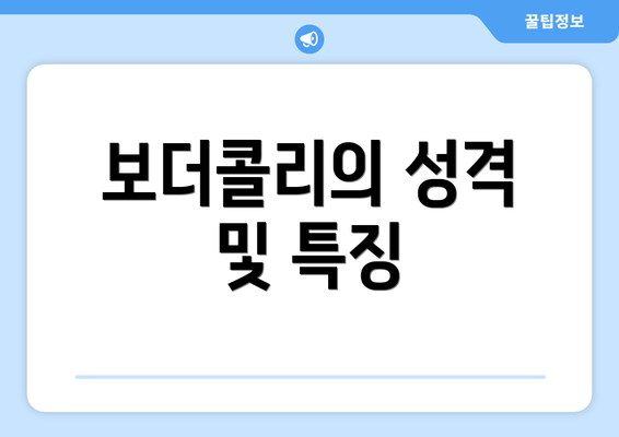 보더콜리의 성격 및 특징