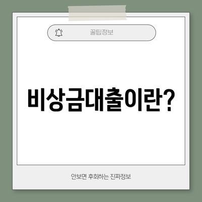 비상금대출이란?