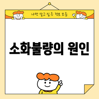 소화불량의 원인