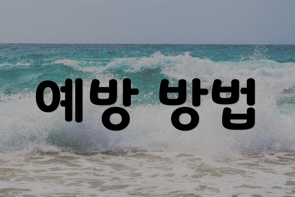 예방 방법
