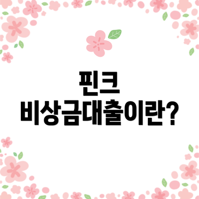 핀크 비상금대출이란?
