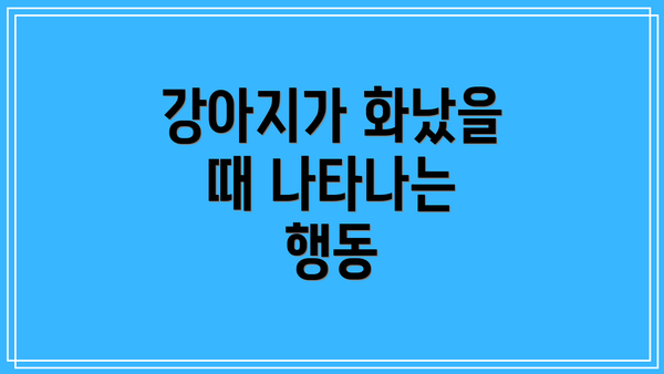 강아지가 화났을 때 나타나는 행동