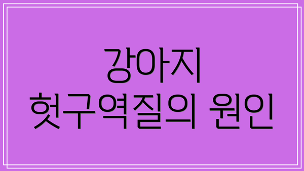강아지 헛구역질의 원인