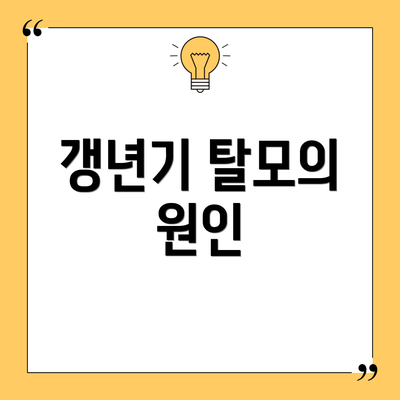 갱년기 탈모의 원인