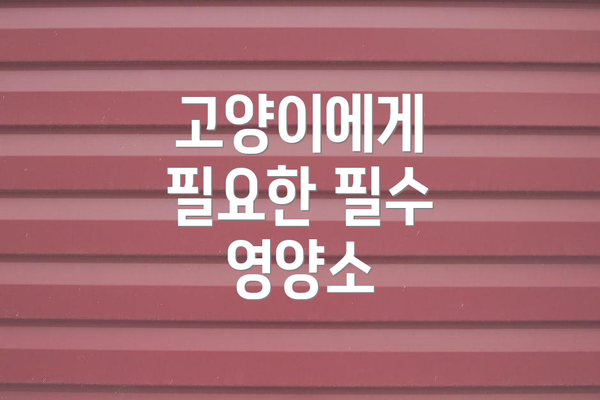 고양이에게 필요한 필수 영양소