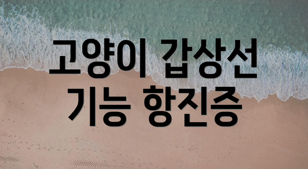 고양이 갑상선 기능 항진증