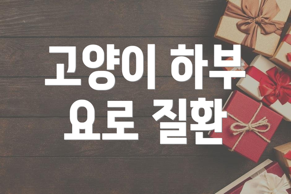 고양이 하부 요로 질환