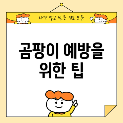 곰팡이 예방을 위한 팁