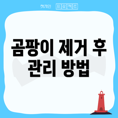 곰팡이 제거 후 관리 방법