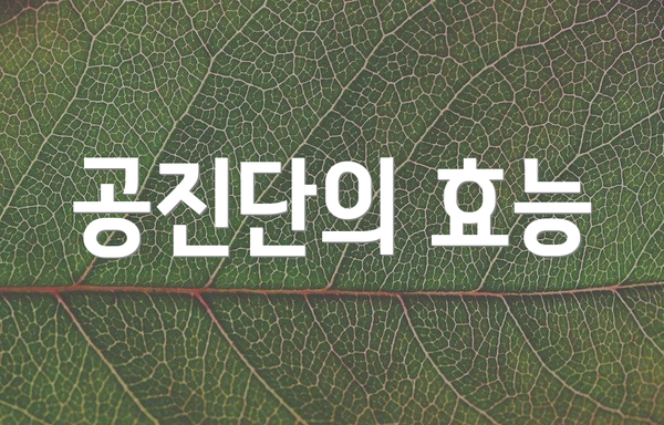 공진단의 효능