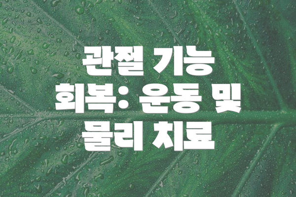 관절 기능 회복: 운동 및 물리 치료