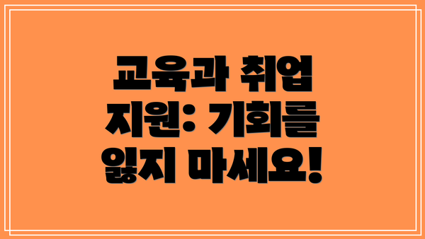 교육과 취업 지원: 기회를 잃지 마세요!