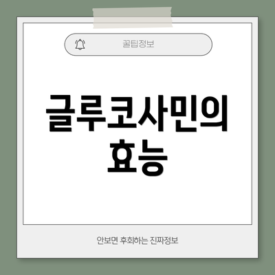 글루코사민의 효능