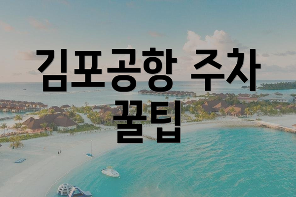 김포공항 주차 꿀팁