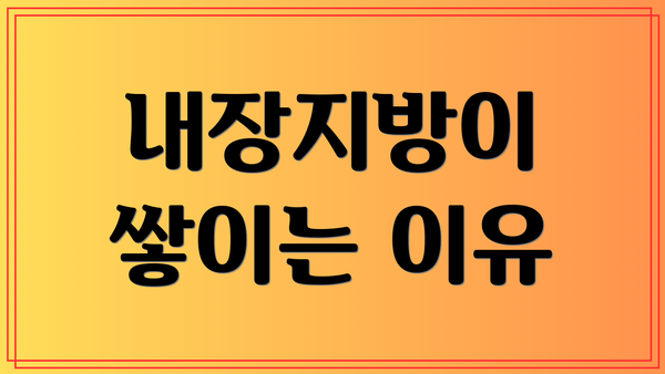 내장지방이 쌓이는 이유