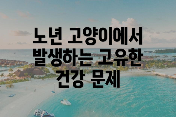 노년 고양이에서 발생하는 고유한 건강 문제