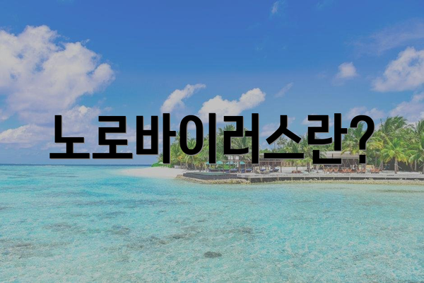 노로바이러스란?