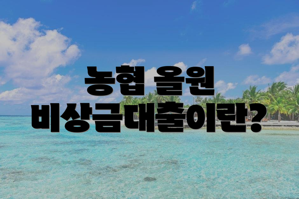 농협 올원 비상금대출이란?