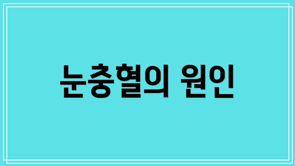 눈충혈의 원인