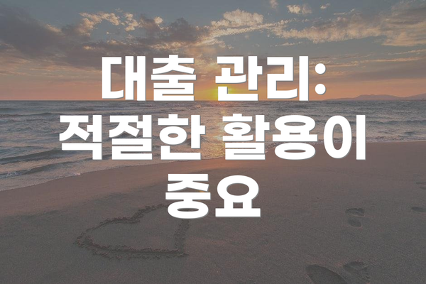 대출 관리: 적절한 활용이 중요
