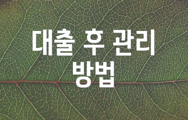 대출 후 관리 방법