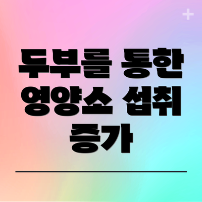 두부를 통한 영양소 섭취 증가