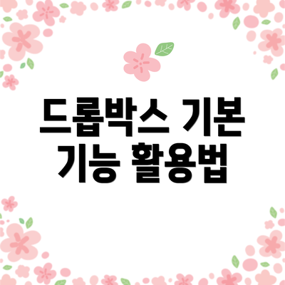 드롭박스 기본 기능 활용법