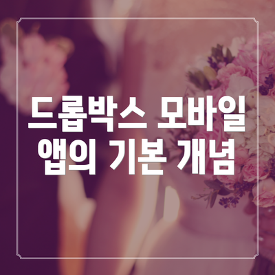 드롭박스 모바일 앱의 기본 개념