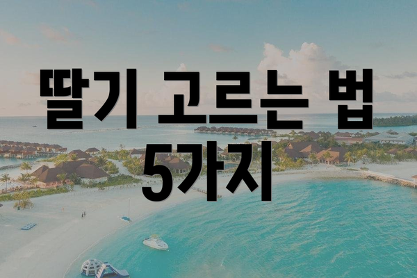 딸기 고르는 법 5가지