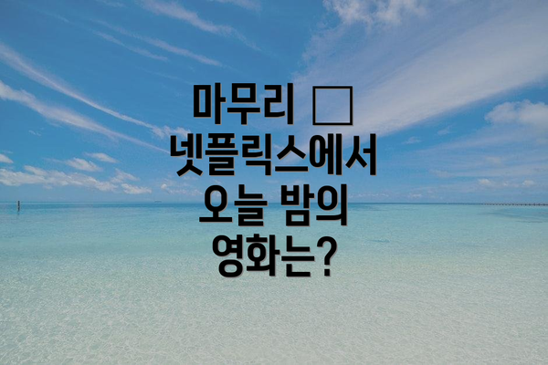 마무리 – 넷플릭스에서 오늘 밤의 영화는?