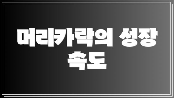 머리카락의 성장 속도