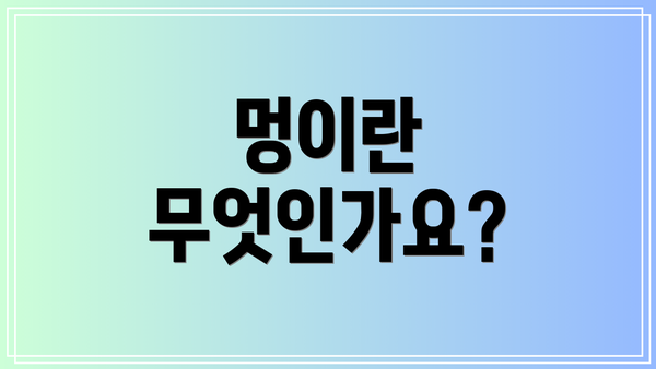 멍이란 무엇인가요?