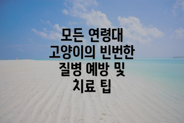 모든 연령대 고양이의 빈번한 질병 예방 및 치료 팁