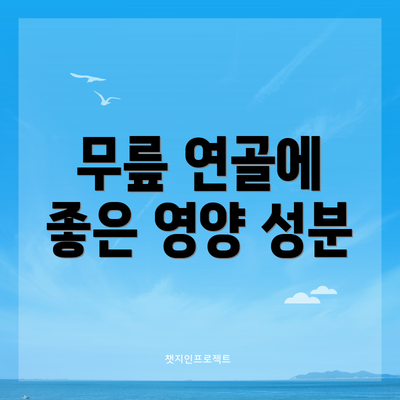무릎 연골에 좋은 영양 성분