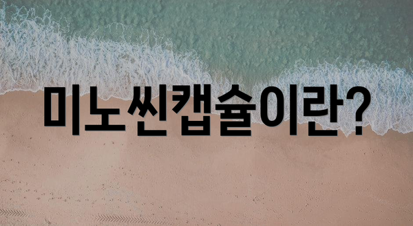 미노씬캡슐이란?