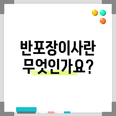 반포장이사란 무엇인가요?