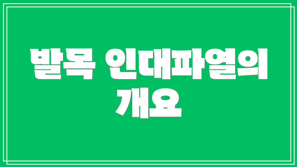 발목 인대파열의 개요