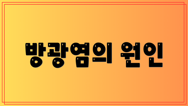 방광염의 원인