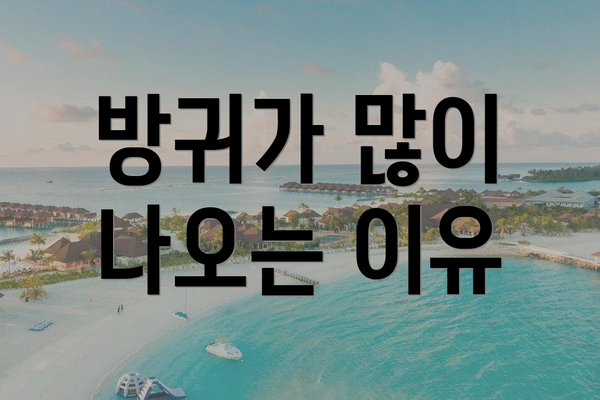 방귀가 많이 나오는 이유