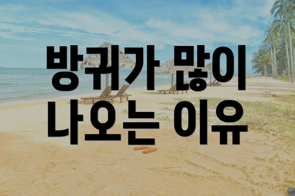 방귀가 많이 나오는 이유