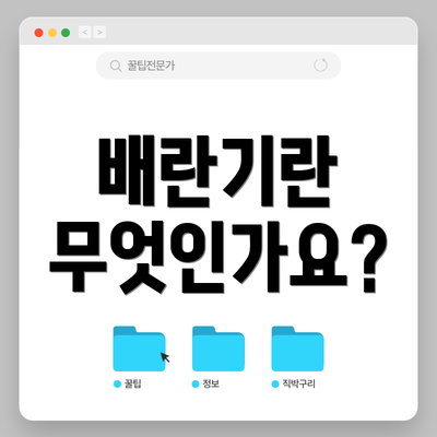 배란기란 무엇인가요?