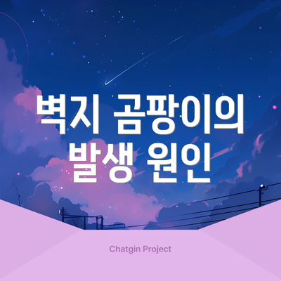 벽지 곰팡이의 발생 원인
