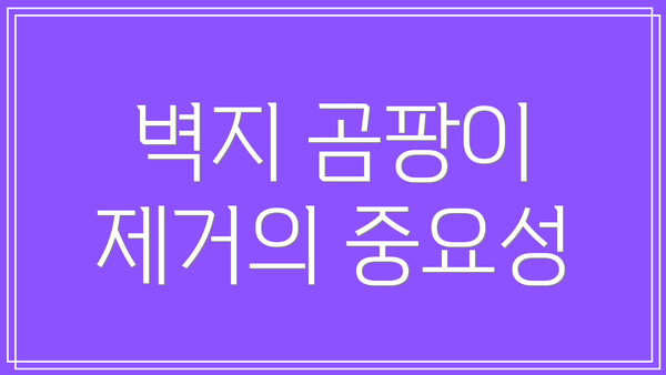 벽지 곰팡이 제거의 중요성