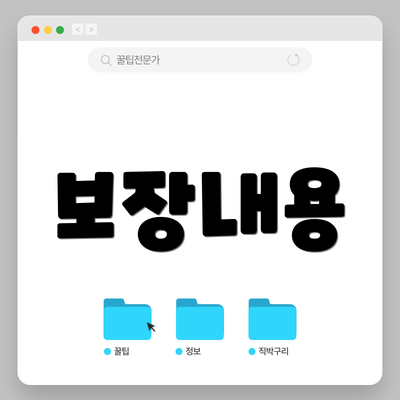 보장내용