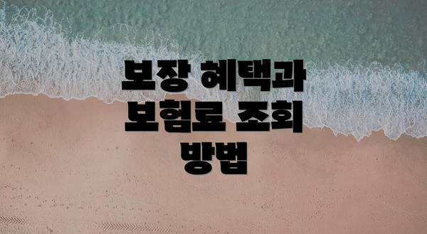 보장 혜택과 보험료 조회 방법